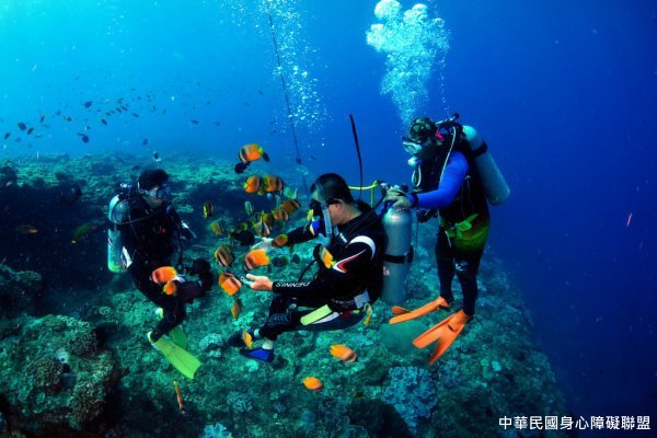 身障潛水學員與教練、潛伴志工在海底裡被魚群包圍