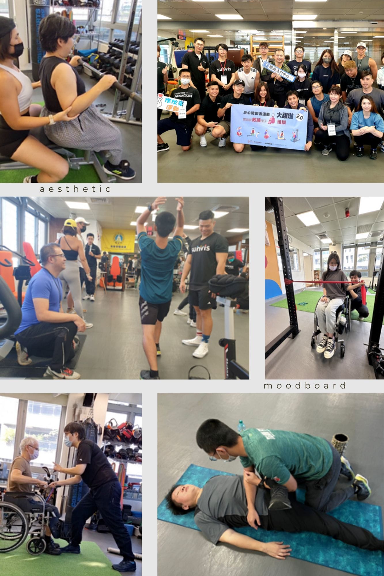 培訓一般運動教練為身心障礙朋友進行體適能訓練